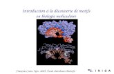 Introduction à la découverte de motifs en biologie moléculaire François Coste, Nov. 2005, École chercheurs BioInfo.