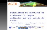Analuse Globalisée des Données d ’Imagerie Radiologique Déploiement de workflows de traitement d’images médicales sur une grille de calcul Tristan Glatard.