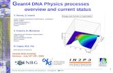 1 Centre d’Etudes Nucléaires de Bordeaux - Gradignan G eant4 DNA Physics processes overview and current status Y. Perrot, S. Incerti Centre d'Etudes Nucléaires.