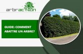 Arbraction: comment abattre un arbre au Québec?