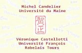 Michel Candelier  Université du Maine