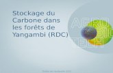 Stockage du Carbon e dans les for êts de  Yangambi  (RDC)