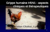 Grippe humaine H5N1 : aspects cliniques et thérapeutiques