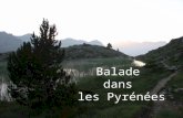 Balade  dans  les Pyrénées