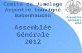 Comité de Jumelage Argentré Louvigné Babenhausen Assemblée Générale 2012