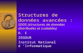 Structures de données avancées :  SDDS (structures de données distribuées et scalables)