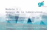 Module 1 :   Aperçu de la tuberculose (TB) et  du diagnostic  de la tuberculose