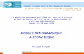 : Evolution du chômage par niveau d’instruction en Algérie
