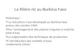 La filière riz au Burkina Faso