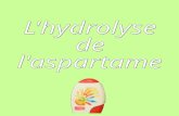L'hydrolyse  de  l'aspartame