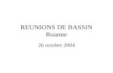 REUNIONS DE BASSIN Roanne