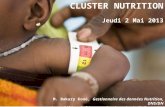 CLUSTER NUTRITION Jeudi 2 Mai 2013 M. Bakary Koné,  Gestionnaire des données Nutrition, DNS/DN
