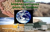 Les options bioénergetiques  pour le Quebec