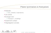 Plaies lyonnaises & françaises