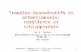 Troubles dysexécutifs et attentionnels, compliance et schizophrénie