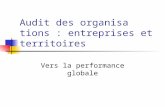 Audit des organisations : entreprises et territoires