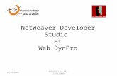 NetWeaver Developer Studio  et Web DynPro
