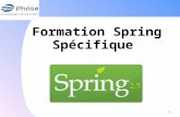 Formation Spring Spécifique