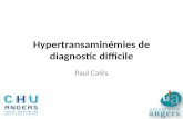 Hypertransaminémies de diagnostic  difficile