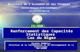 Renforcement des  Capacités  Statistiques  Cas du Niger