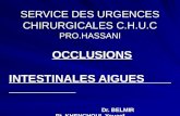 SERVICE DES URGENCES CHIRURGICALES C.H.U.C  PRO.HASSANI