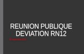 REUNION PUBLIQUE DEVIATION RN12
