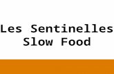Les Sentinelles  Slow Food