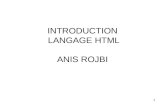 INTRODUCTION  LANGAGE HTML ANIS ROJBI