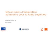 Mécanismes d'adaptation autonome pour la radio cognitive