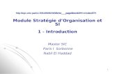 Module Stratégie d’Organisation et SI 1 - Introduction