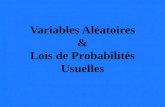 Variables Aléatoires & Lois de Probabilités Usuelles
