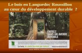 Le bois en Languedoc Roussillon  au cœur du développement durable  ?