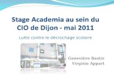 Stage  Academia  au sein du CIO de Dijon - mai 2011