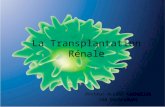 La Transplantation Rénale
