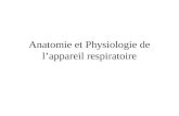 Anatomie et Physiologie de l’appareil respiratoire