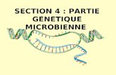 SECTION 4 : PARTIE GENETIQUE MICROBIENNE