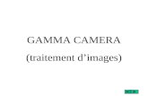GAMMA CAMERA (traitement d’images)
