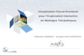 Visualisation Focus+Contexte  pour l’Exploration Interactive  de Maillages Tétraédriques