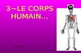 3~LE CORPS HUMAIN…
