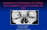 Anatomie et Sémiologie de l ‘ Orbite, des Paupières et des Annexes de l ’ Œil