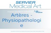 Artères - Physiopathologie