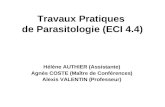 Travaux Pratiques  de Parasitologie (ECI 4.4)