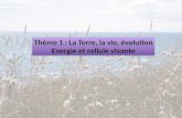 Thème 1 : La Terre, la vie, évolution Energie et cellule vivante