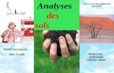 Analyses         des     sols