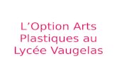 L’Option Arts Plastiques au Lycée Vaugelas