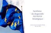 Synthèse  du diagnostic territorial Stratégique Instance de concertation élargie  18 mars 2013