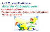 I.U.T. de Poitiers Site de Châtellerault