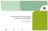 Présentation du document d’orientation REPERE CCE 13 avril 2011