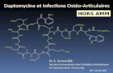 Daptomycine et Infections Ostéo-Articulaires