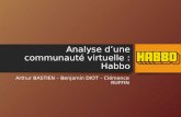 Analyse d’une communauté virtuelle : Habbo